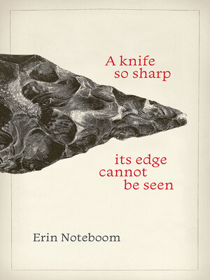 A knife so sharp its edge cannot be seen - ebook